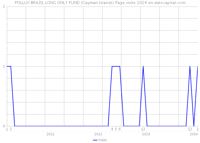 POLLUX BRAZIL LONG ONLY FUND (Cayman Islands) Page visits 2024 