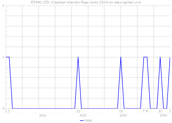ETAM, LTD. (Cayman Islands) Page visits 2024 