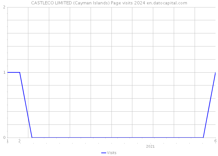 CASTLECO LIMITED (Cayman Islands) Page visits 2024 