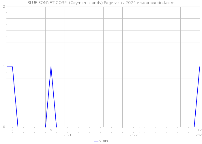 BLUE BONNET CORP. (Cayman Islands) Page visits 2024 