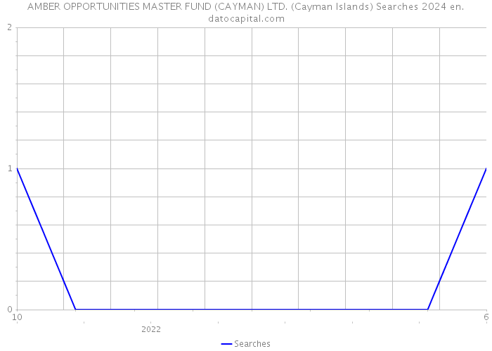 AMBER OPPORTUNITIES MASTER FUND (CAYMAN) LTD. (Cayman Islands) Searches 2024 