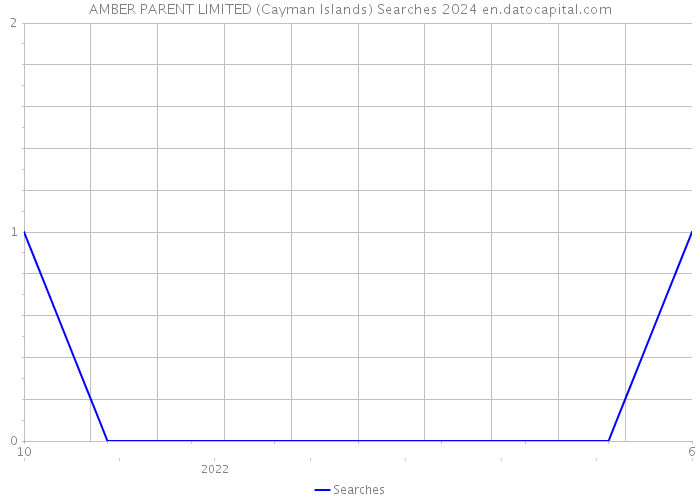 AMBER PARENT LIMITED (Cayman Islands) Searches 2024 