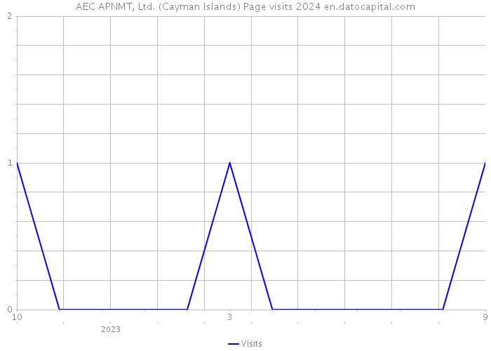 AEC APNMT, Ltd. (Cayman Islands) Page visits 2024 