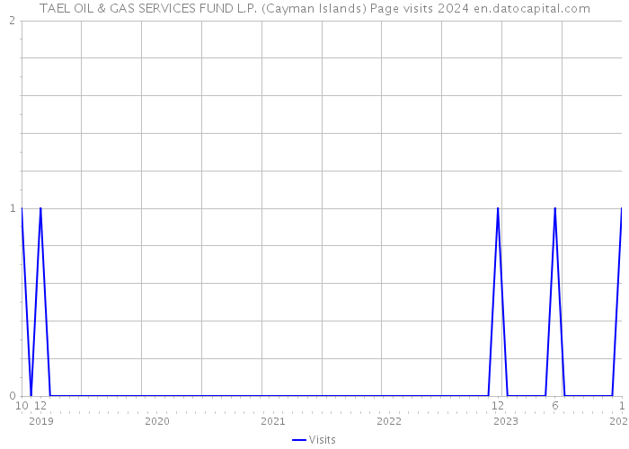 TAEL OIL & GAS SERVICES FUND L.P. (Cayman Islands) Page visits 2024 