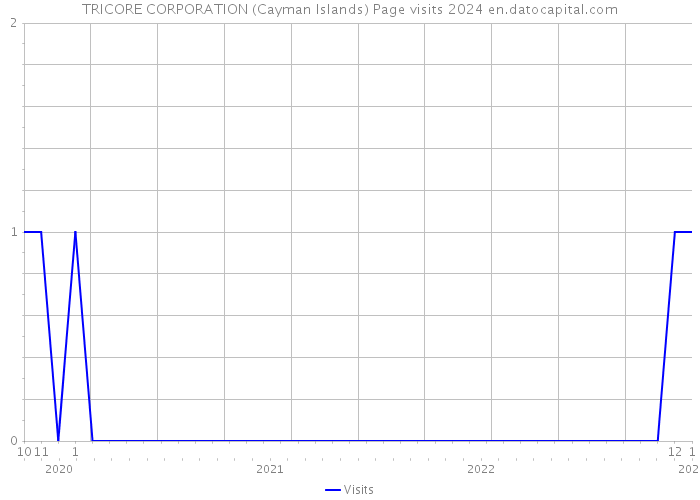TRICORE CORPORATION (Cayman Islands) Page visits 2024 