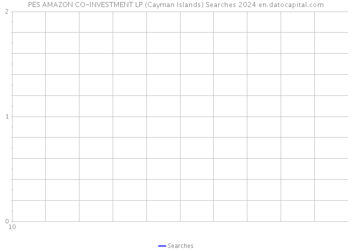 PES AMAZON CO-INVESTMENT LP (Cayman Islands) Searches 2024 