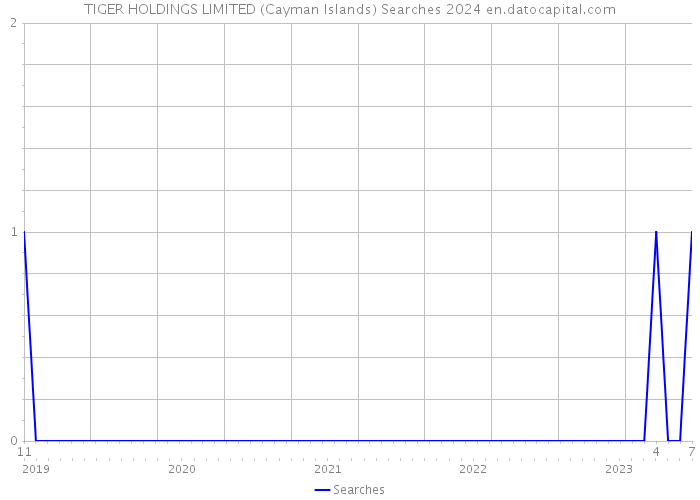TIGER HOLDINGS LIMITED (Cayman Islands) Searches 2024 