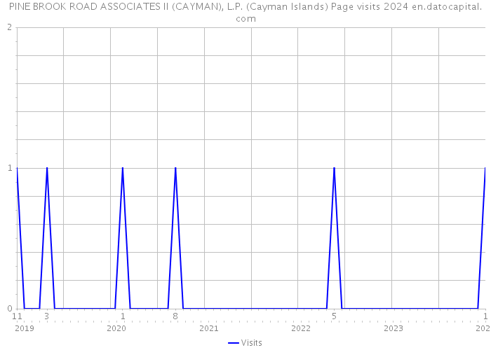 PINE BROOK ROAD ASSOCIATES II (CAYMAN), L.P. (Cayman Islands) Page visits 2024 
