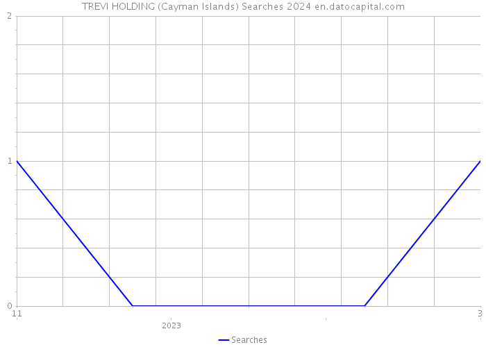 TREVI HOLDING (Cayman Islands) Searches 2024 