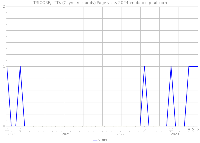 TRICORE, LTD. (Cayman Islands) Page visits 2024 