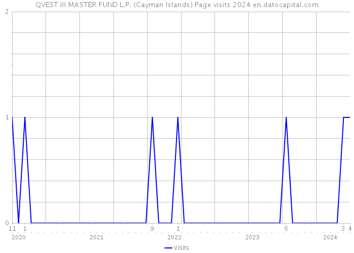 QVEST III MASTER FUND L.P. (Cayman Islands) Page visits 2024 