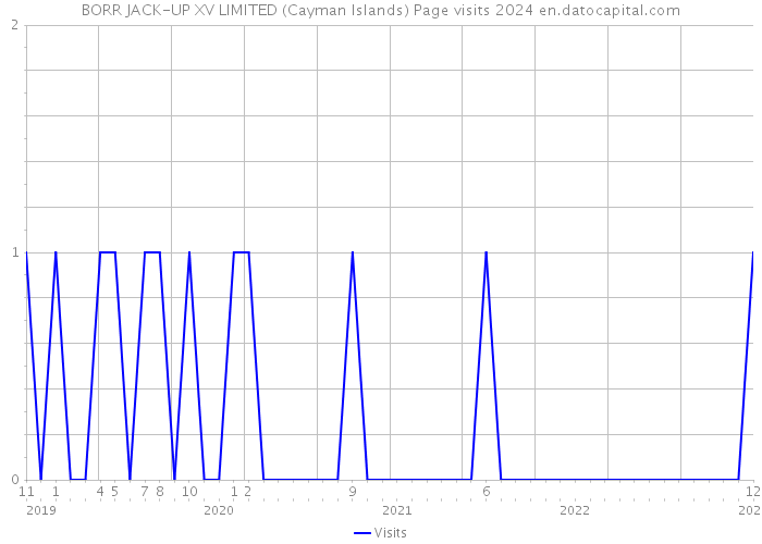BORR JACK-UP XV LIMITED (Cayman Islands) Page visits 2024 