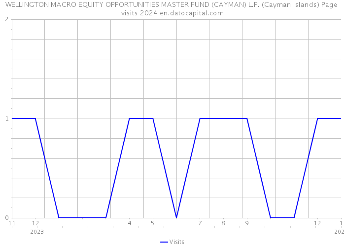 WELLINGTON MACRO EQUITY OPPORTUNITIES MASTER FUND (CAYMAN) L.P. (Cayman Islands) Page visits 2024 