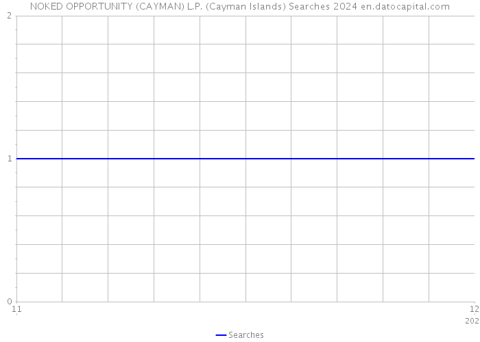 NOKED OPPORTUNITY (CAYMAN) L.P. (Cayman Islands) Searches 2024 