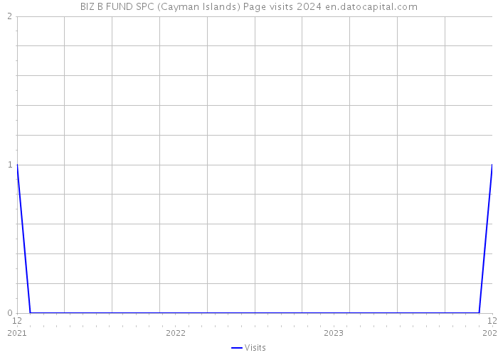 BIZ B FUND SPC (Cayman Islands) Page visits 2024 