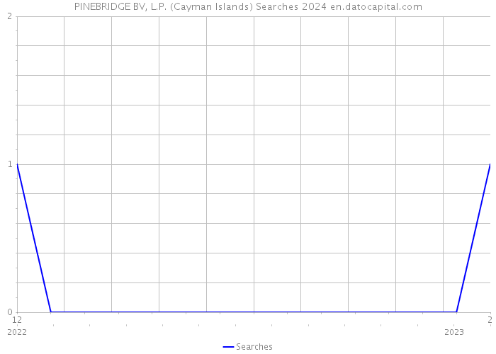 PINEBRIDGE BV, L.P. (Cayman Islands) Searches 2024 