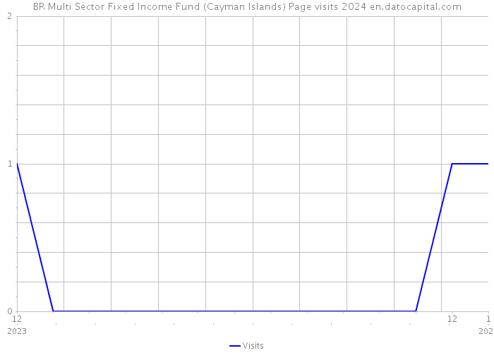 BR Multi Sector Fixed Income Fund (Cayman Islands) Page visits 2024 