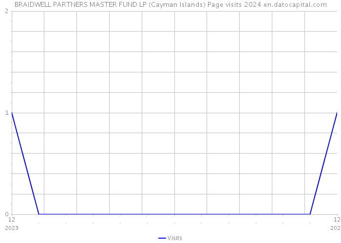 BRAIDWELL PARTNERS MASTER FUND LP (Cayman Islands) Page visits 2024 