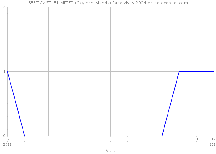 BEST CASTLE LIMITED (Cayman Islands) Page visits 2024 