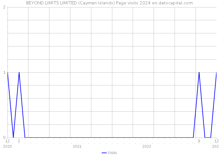 BEYOND LIMITS LIMITED (Cayman Islands) Page visits 2024 