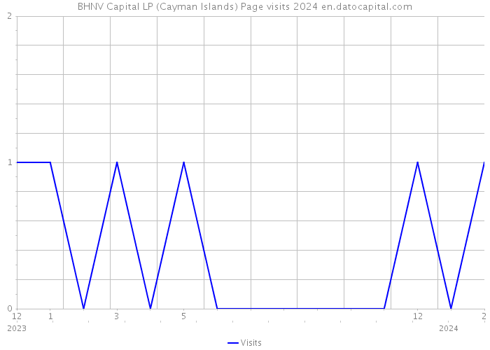 BHNV Capital LP (Cayman Islands) Page visits 2024 