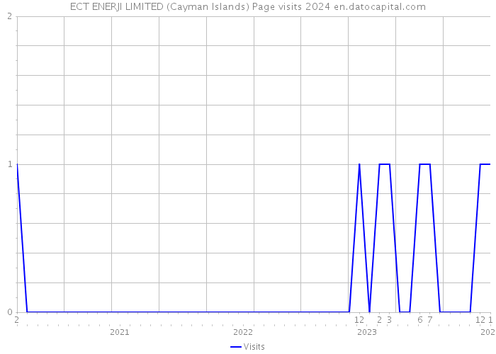 ECT ENERJI LIMITED (Cayman Islands) Page visits 2024 