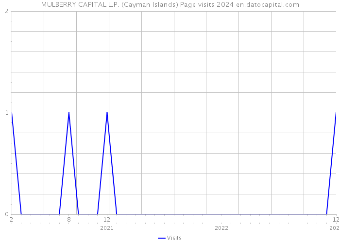 MULBERRY CAPITAL L.P. (Cayman Islands) Page visits 2024 