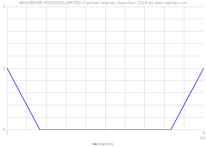 WOLVERINE HOLDINGS LIMITED (Cayman Islands) Searches 2024 