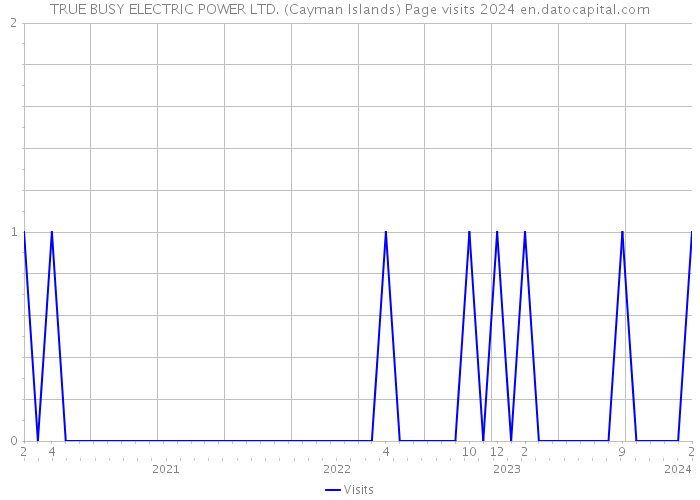 TRUE BUSY ELECTRIC POWER LTD. (Cayman Islands) Page visits 2024 