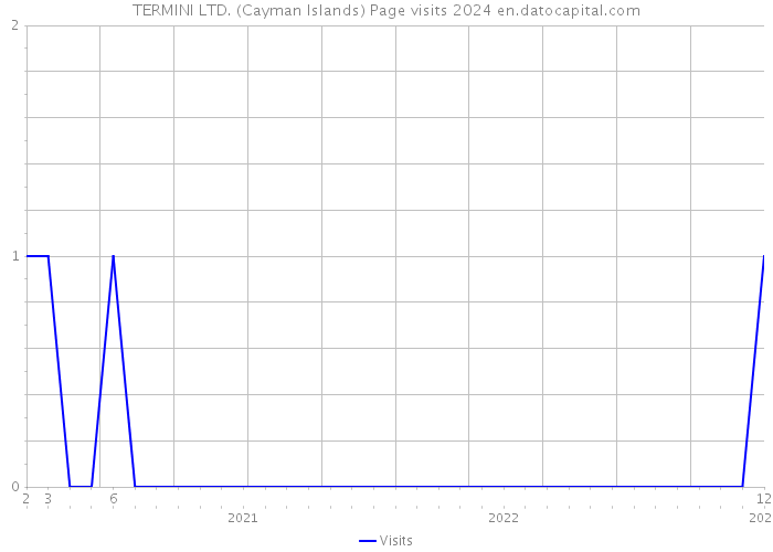 TERMINI LTD. (Cayman Islands) Page visits 2024 