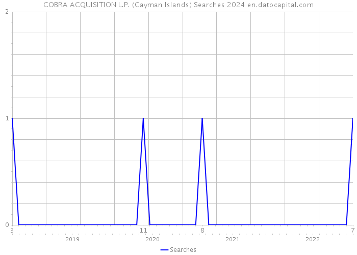 COBRA ACQUISITION L.P. (Cayman Islands) Searches 2024 