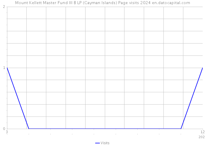 Mount Kellett Master Fund III B LP (Cayman Islands) Page visits 2024 