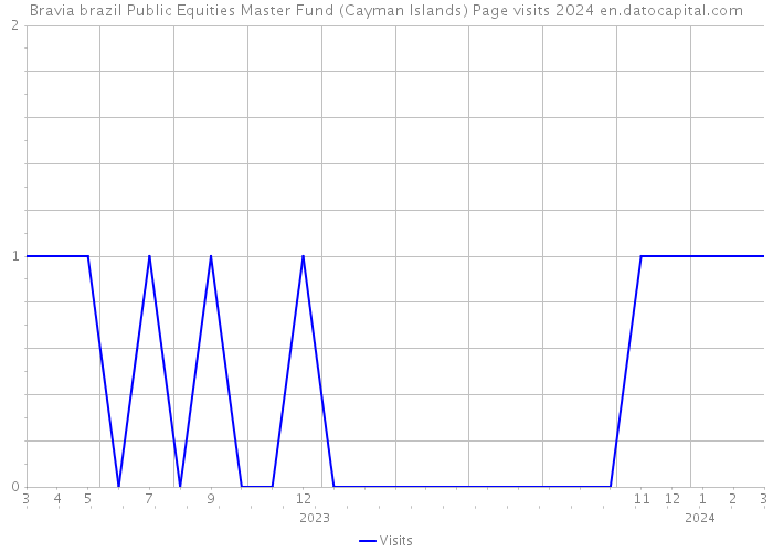 Bravia brazil Public Equities Master Fund (Cayman Islands) Page visits 2024 