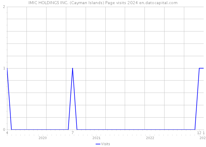 IMIC HOLDINGS INC. (Cayman Islands) Page visits 2024 
