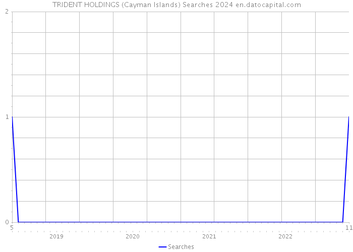 TRIDENT HOLDINGS (Cayman Islands) Searches 2024 