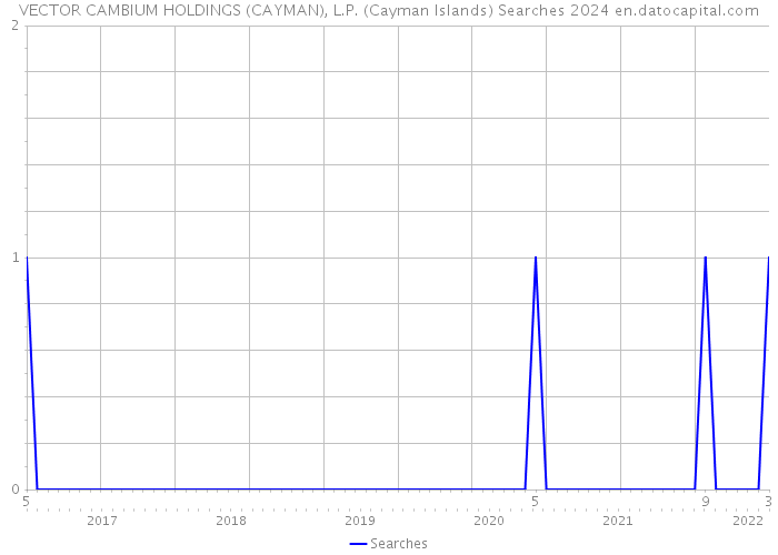 VECTOR CAMBIUM HOLDINGS (CAYMAN), L.P. (Cayman Islands) Searches 2024 