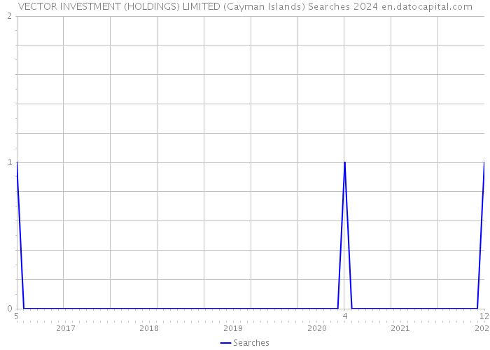 VECTOR INVESTMENT (HOLDINGS) LIMITED (Cayman Islands) Searches 2024 