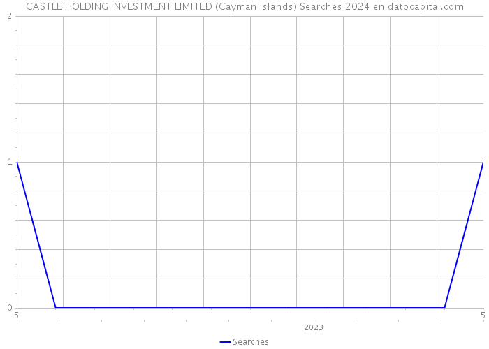 CASTLE HOLDING INVESTMENT LIMITED (Cayman Islands) Searches 2024 