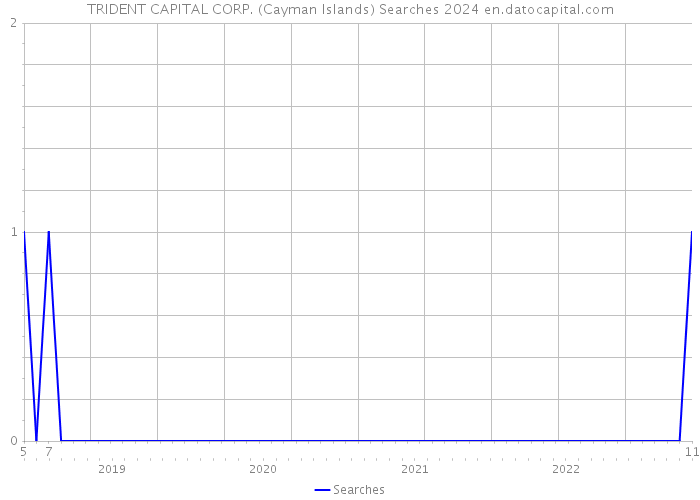 TRIDENT CAPITAL CORP. (Cayman Islands) Searches 2024 