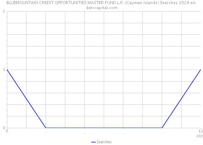 BLUEMOUNTAIN CREDIT OPPORTUNITIES MASTER FUND L.P. (Cayman Islands) Searches 2024 