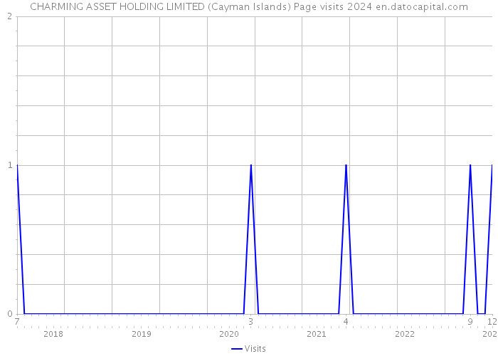 CHARMING ASSET HOLDING LIMITED (Cayman Islands) Page visits 2024 