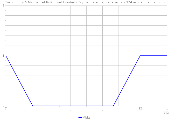 Commodity & Macro Tail Risk Fund Limited (Cayman Islands) Page visits 2024 