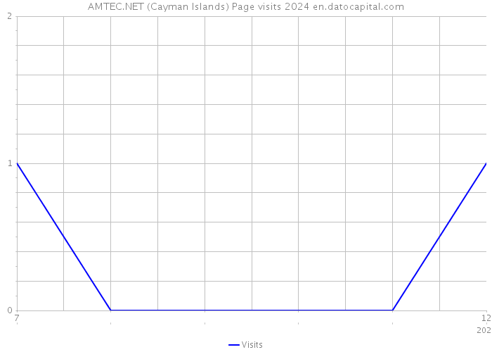 AMTEC.NET (Cayman Islands) Page visits 2024 