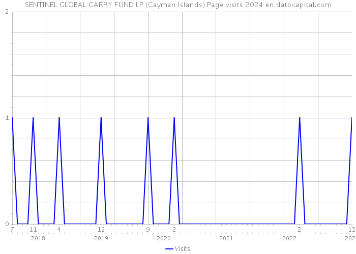 SENTINEL GLOBAL CARRY FUND LP (Cayman Islands) Page visits 2024 