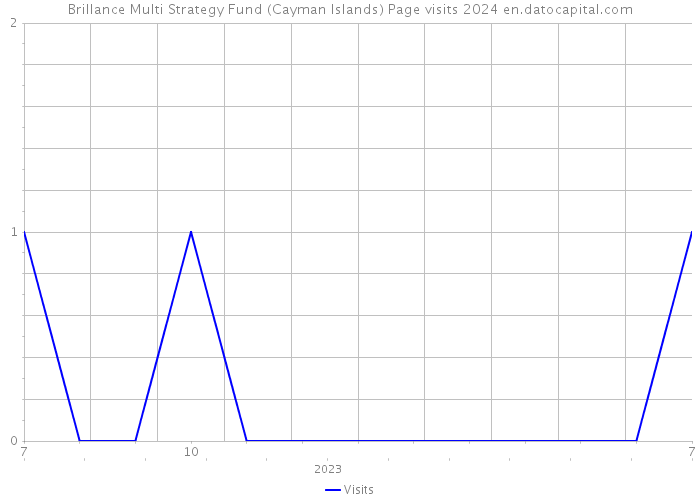 Brillance Multi Strategy Fund (Cayman Islands) Page visits 2024 