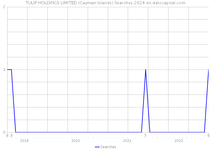 TULIP HOLDINGS LIMITED (Cayman Islands) Searches 2024 