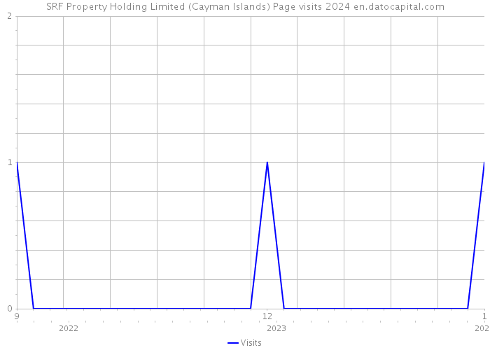 SRF Property Holding Limited (Cayman Islands) Page visits 2024 