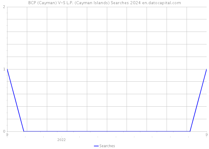 BCP (Cayman) V-S L.P. (Cayman Islands) Searches 2024 