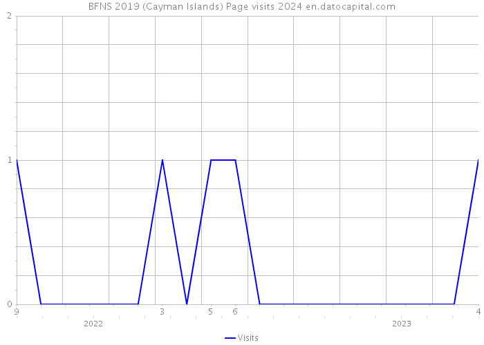 BFNS 2019 (Cayman Islands) Page visits 2024 