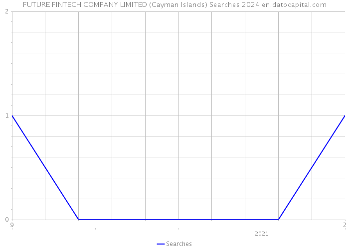 FUTURE FINTECH COMPANY LIMITED (Cayman Islands) Searches 2024 